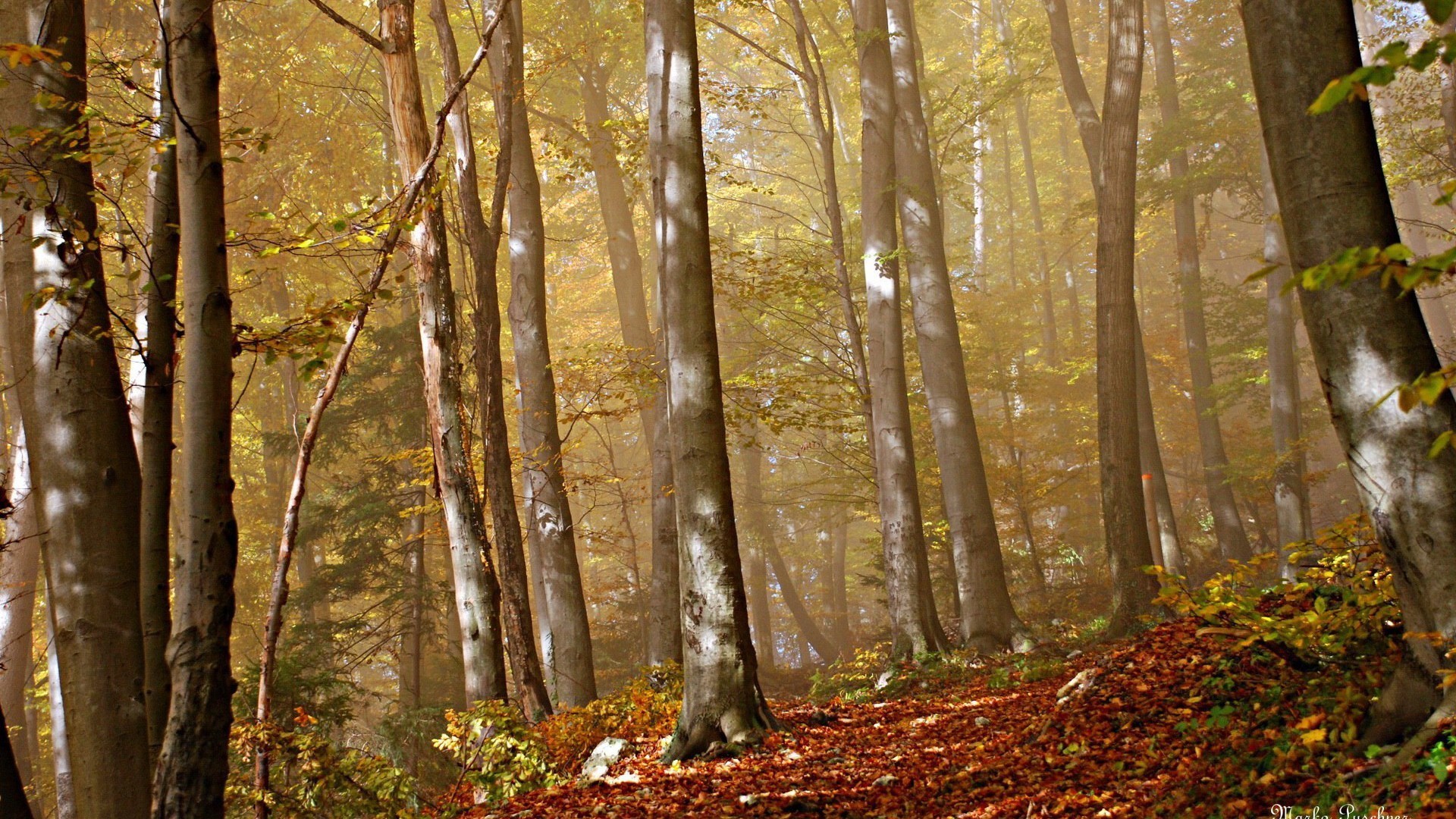 Naturlandschaft